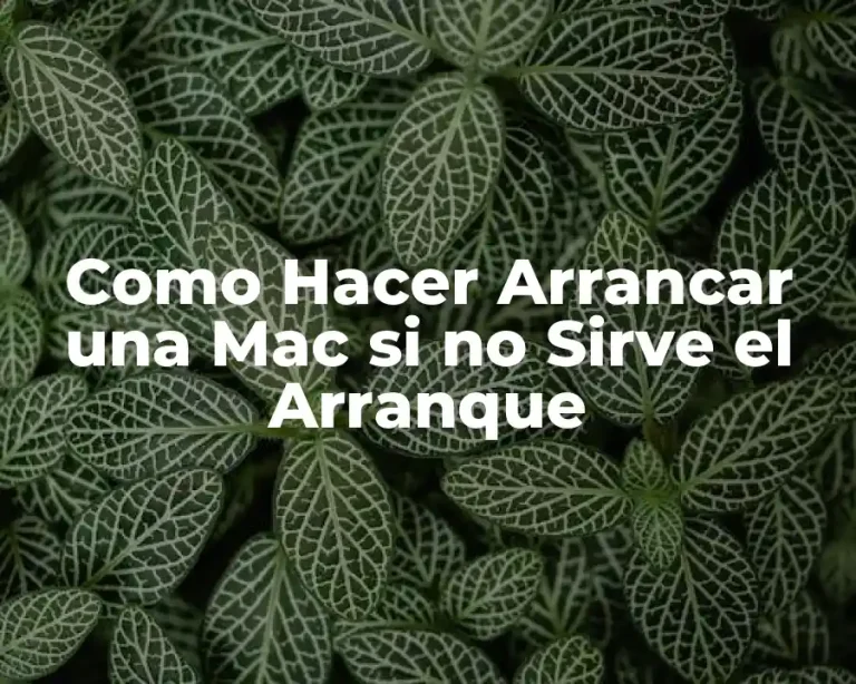 Como Hacer Arrancar una Mac si no Sirve el Arranque