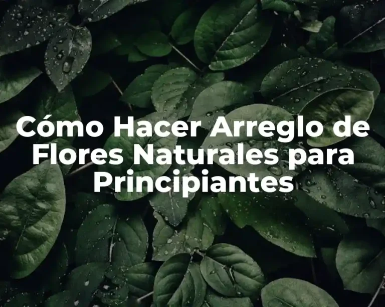 Cómo Hacer Arreglo de Flores Naturales para Principiantes