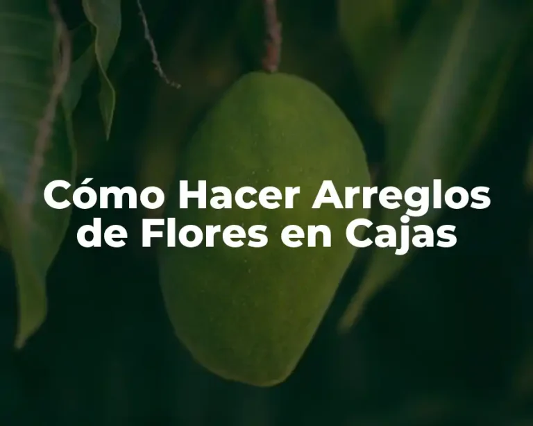 Cómo Hacer Arreglos de Flores en Cajas