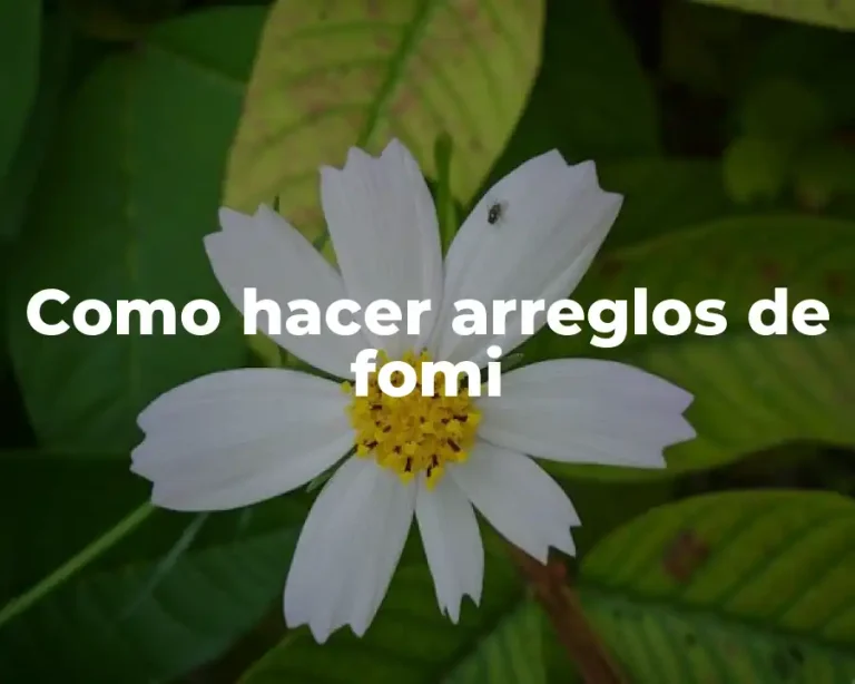 Como hacer arreglos de fomi