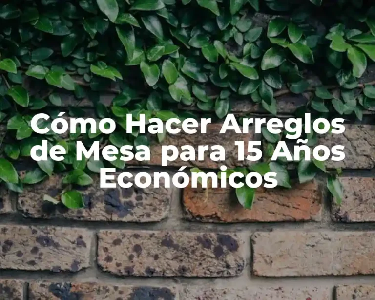 Cómo Hacer Arreglos de Mesa para 15 Años Económicos