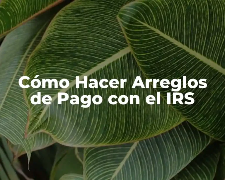 Cómo Hacer Arreglos de Pago con el IRS