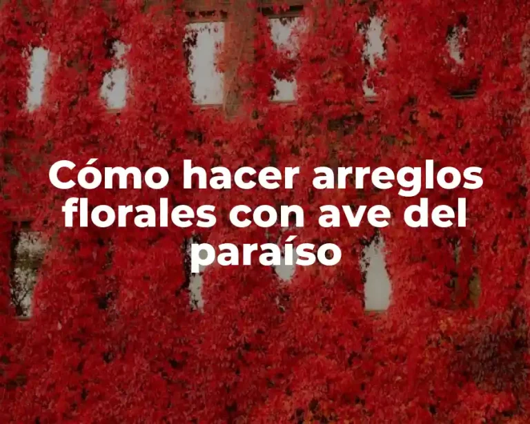 Cómo hacer arreglos florales con ave del paraíso