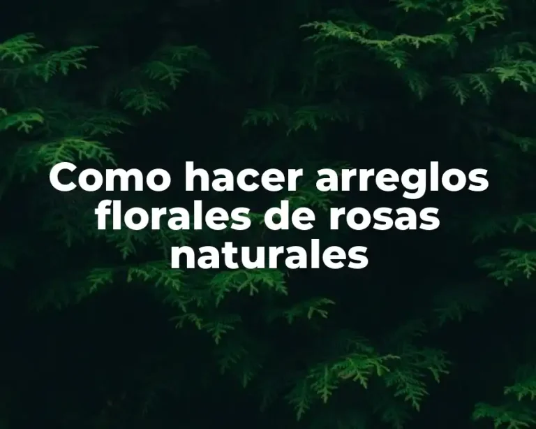 Como hacer arreglos florales de rosas naturales