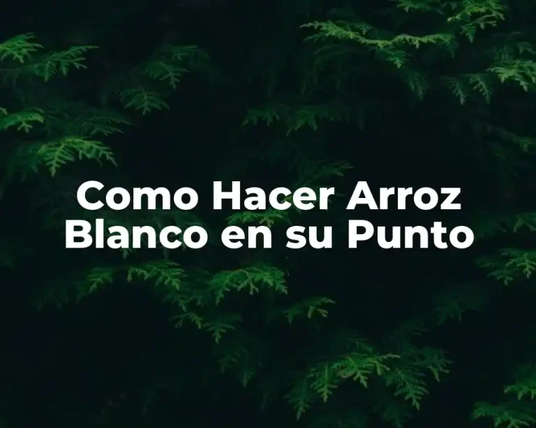 Como Hacer Arroz Blanco en su Punto