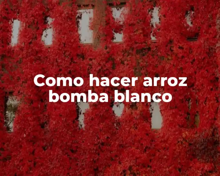 Como hacer arroz bomba blanco