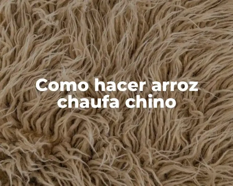 Como hacer arroz chaufa chino