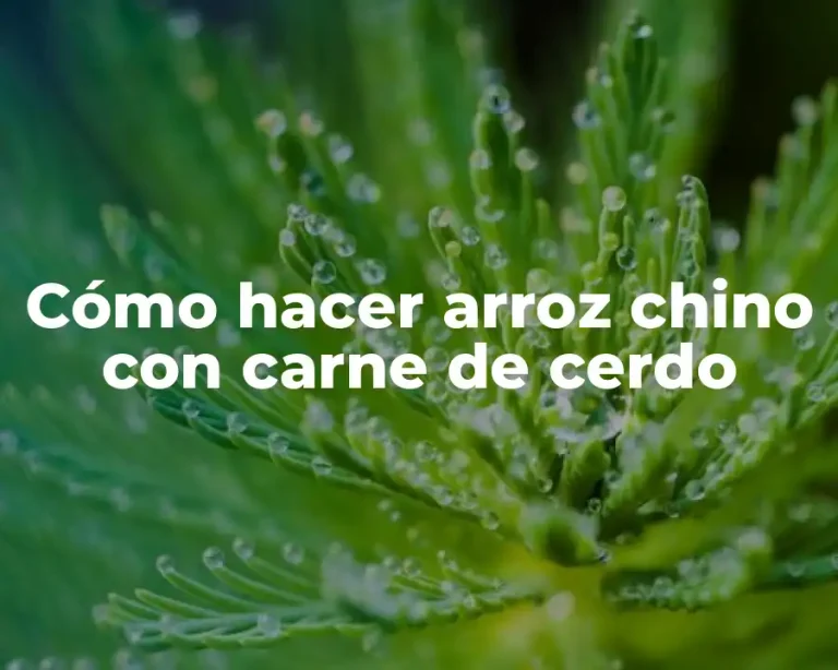 Cómo hacer arroz chino con carne de cerdo