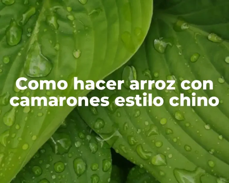 Como hacer arroz con camarones estilo chino