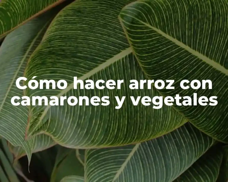 Cómo hacer arroz con camarones y vegetales