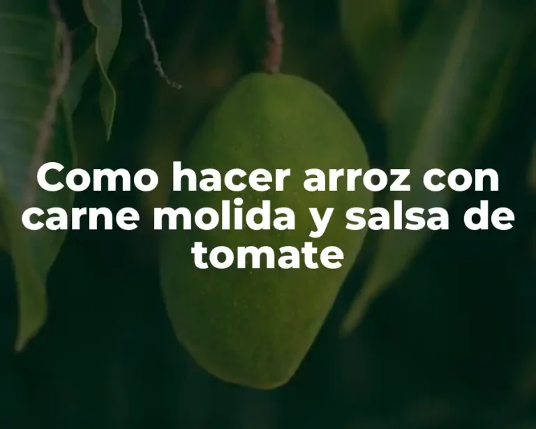 Como hacer arroz con carne molida y salsa de tomate