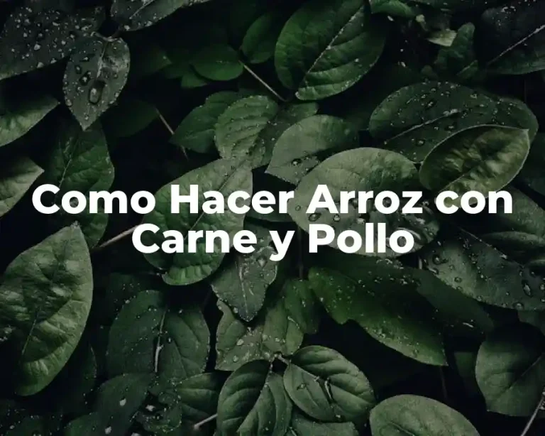Como Hacer Arroz con Carne y Pollo