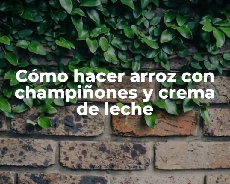 Cómo hacer arroz con champiñones y crema de leche