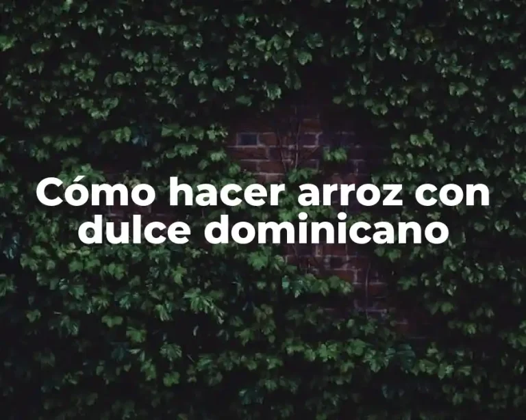 Cómo hacer arroz con dulce dominicano