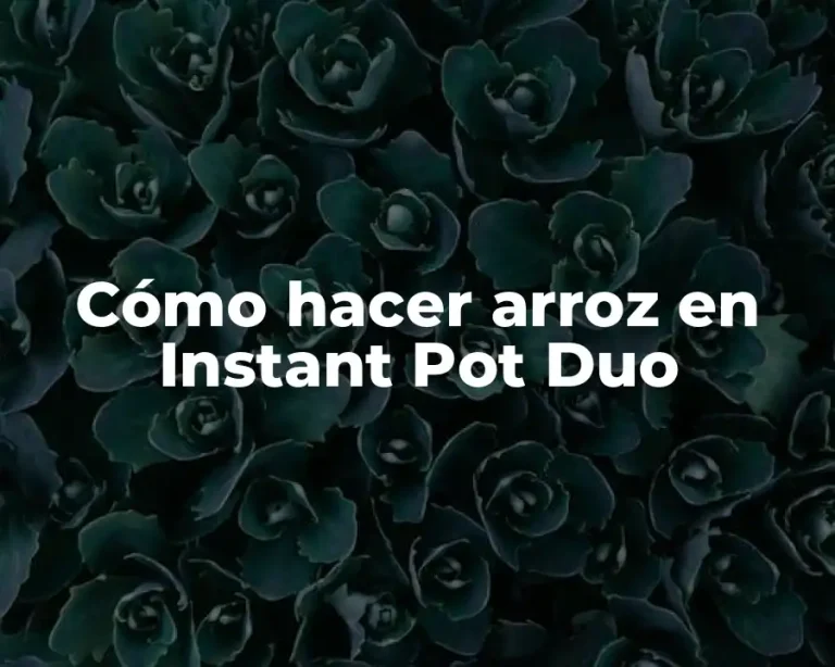 Cómo hacer arroz en Instant Pot Duo