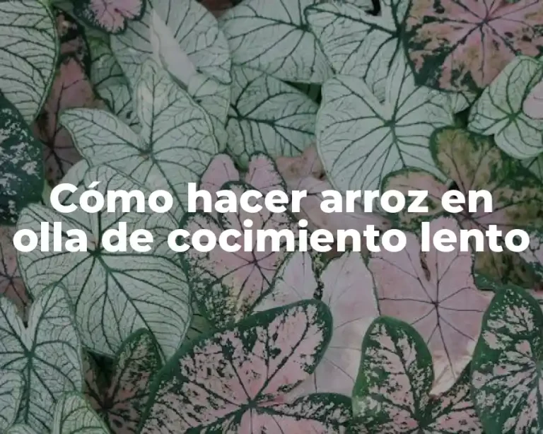 Cómo hacer arroz en olla de cocimiento lento