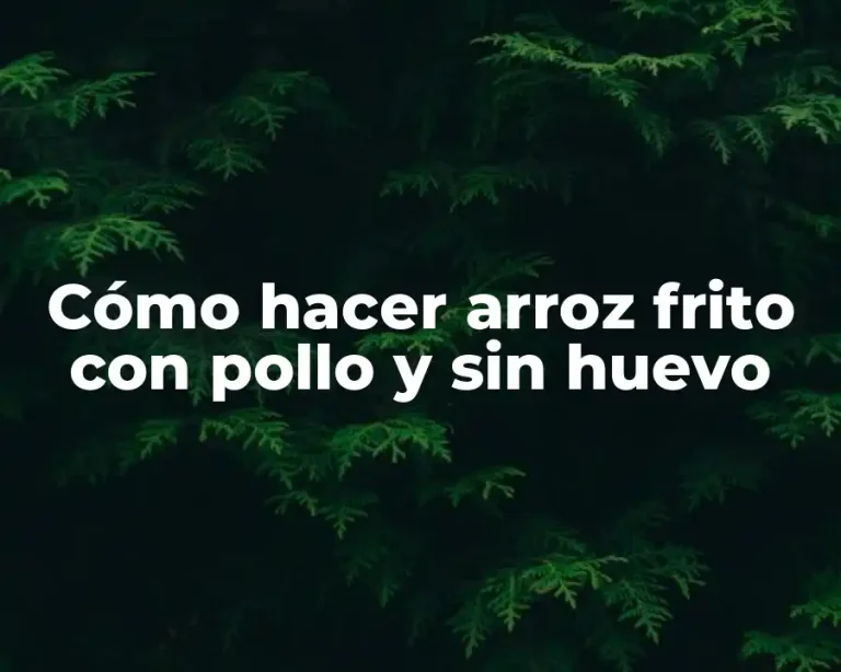 Cómo hacer arroz frito con pollo y sin huevo