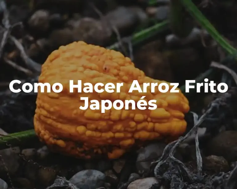 Como Hacer Arroz Frito Japonés