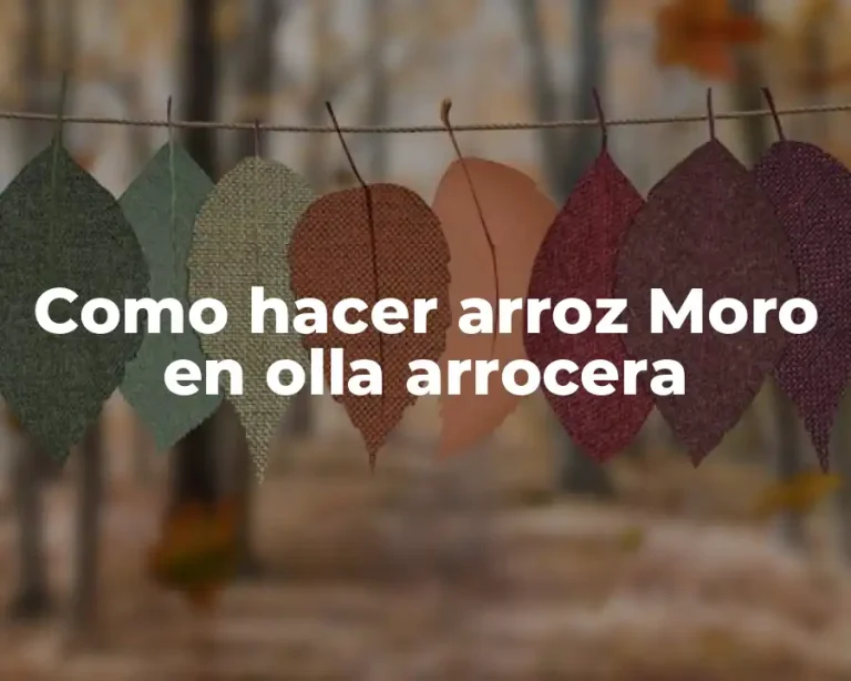 Como hacer arroz Moro en olla arrocera