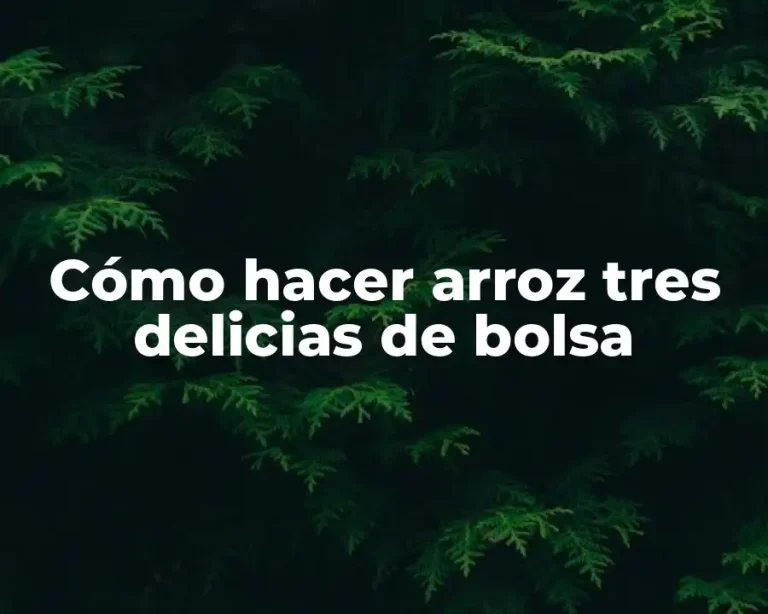 Cómo hacer arroz tres delicias de bolsa