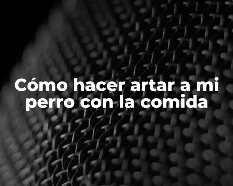Cómo hacer artar a mi perro con la comida