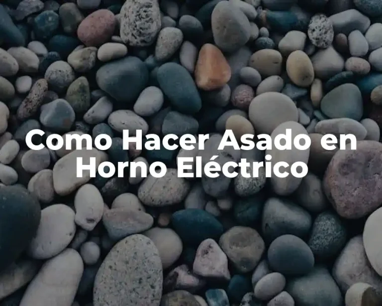 Como Hacer Asado en Horno Eléctrico