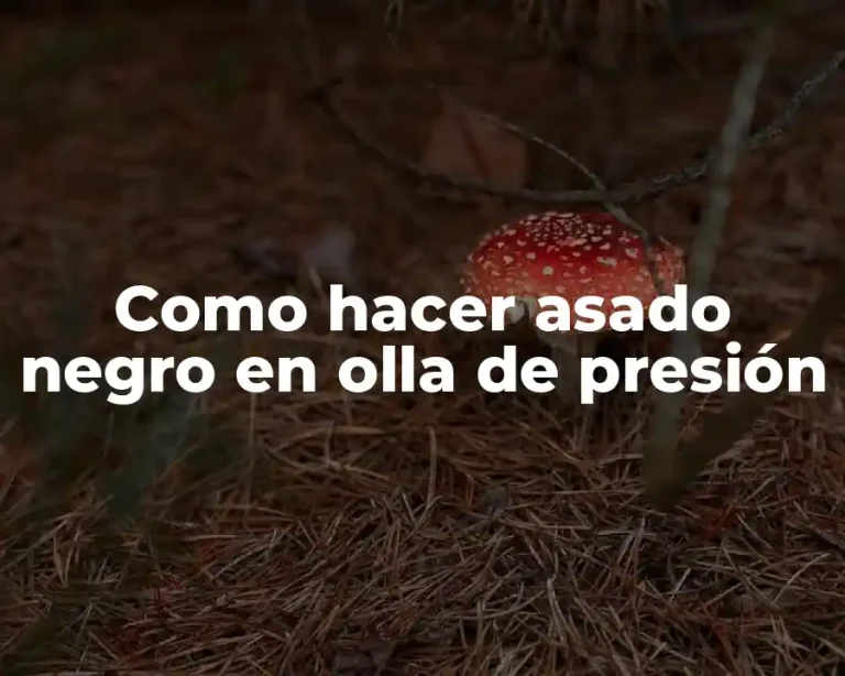 Como hacer asado negro en olla de presión