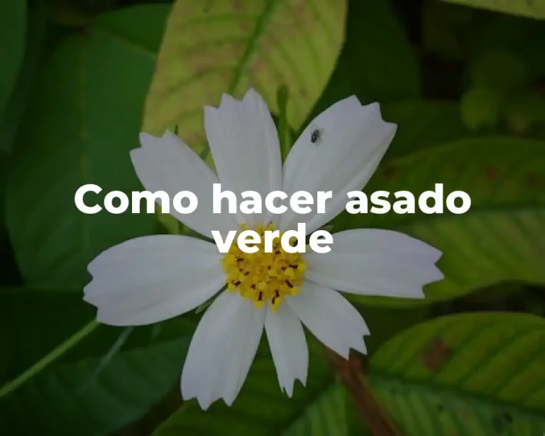 Como hacer asado verde