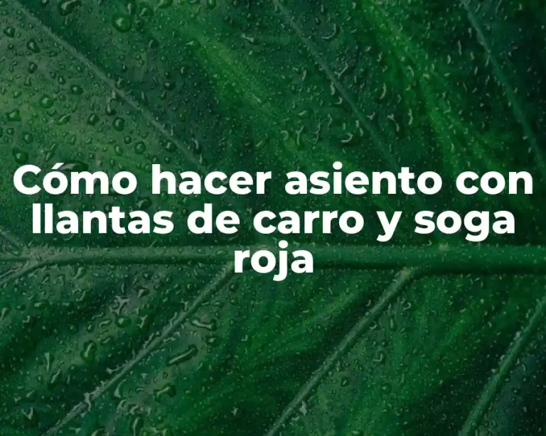 Cómo hacer asiento con llantas de carro y soga roja