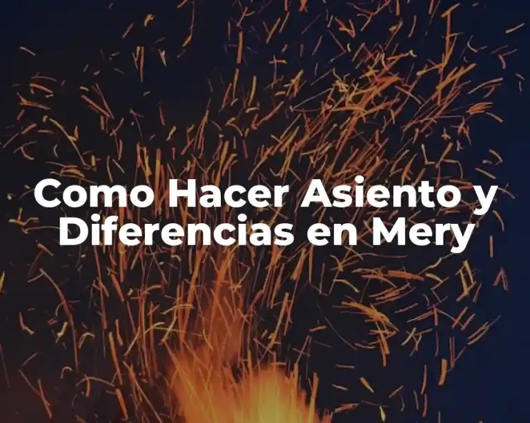 Como Hacer Asiento y Diferencias en Mery