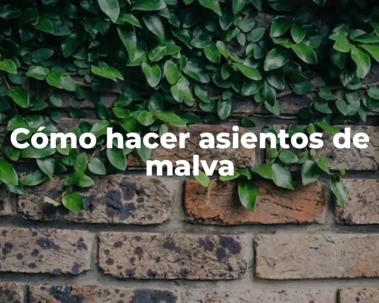 Cómo hacer asientos de malva