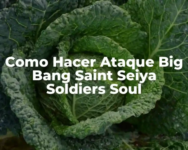 Como Hacer Ataque Big Bang Saint Seiya Soldiers Soul