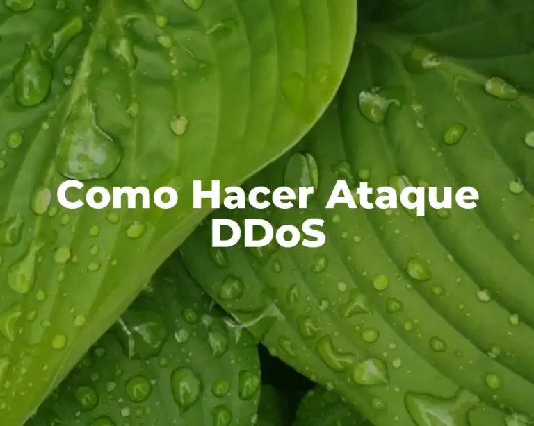 Como Hacer Ataque DDoS