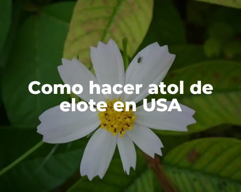 Como hacer atol de elote en USA