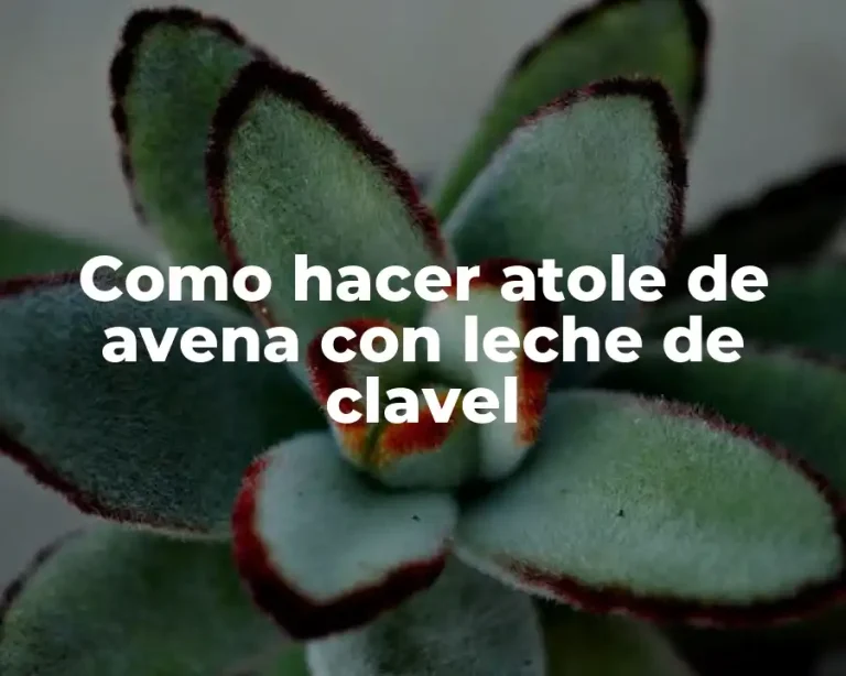 Como hacer atole de avena con leche de clavel