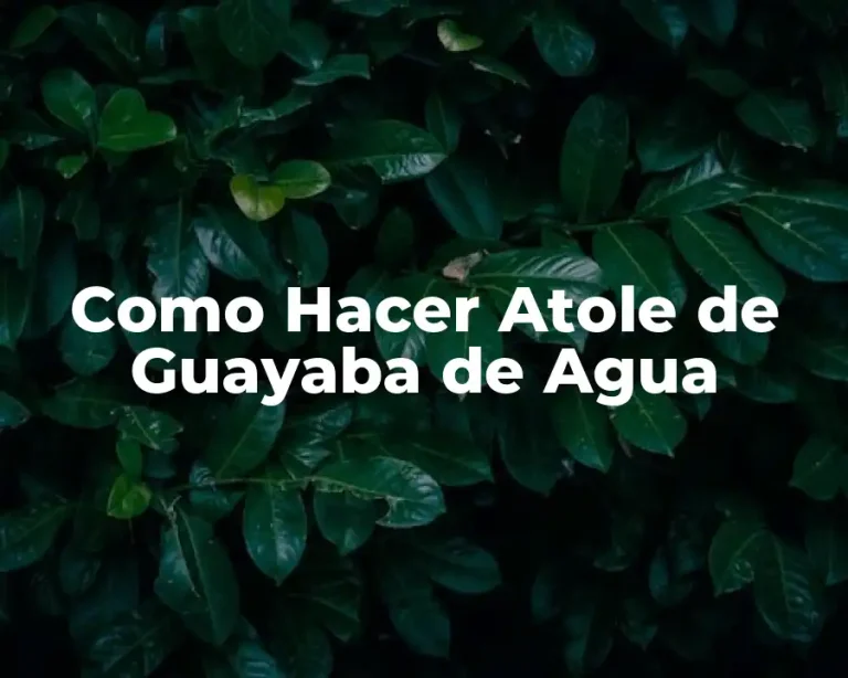 Como Hacer Atole de Guayaba de Agua