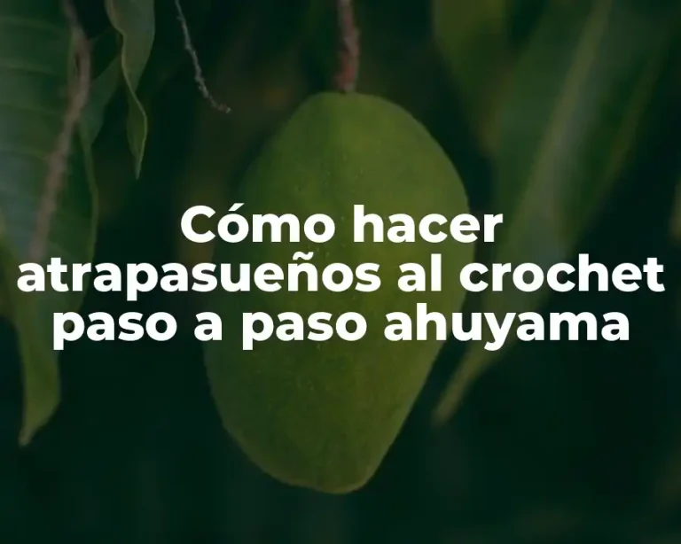 Cómo hacer atrapasueños al crochet paso a paso ahuyama