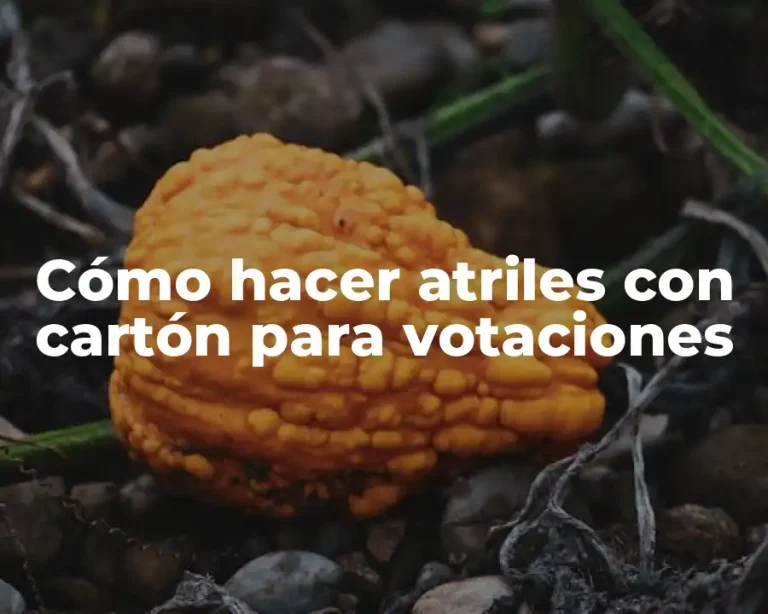 Cómo hacer atriles con cartón para votaciones