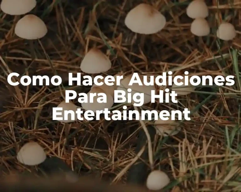 Como Hacer Audiciones Para Big Hit Entertainment