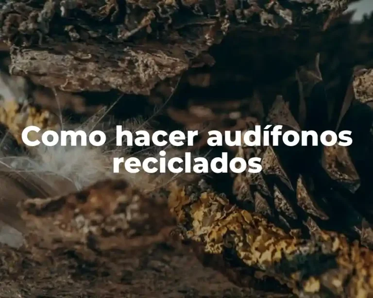 Como hacer audífonos reciclados