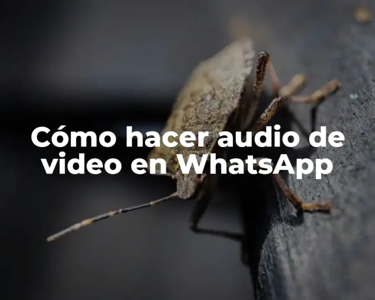 Cómo hacer audio de video en WhatsApp