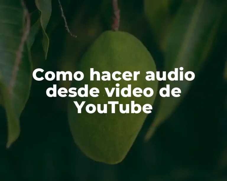Como hacer audio desde video de YouTube