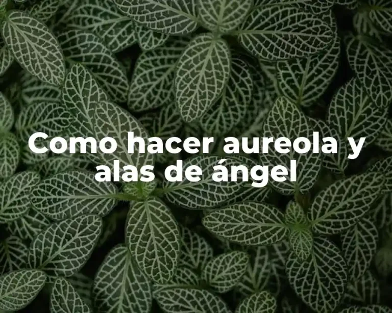 Como hacer aureola y alas de ángel
