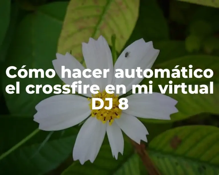 Cómo hacer automático el crossfire en mi virtual DJ 8