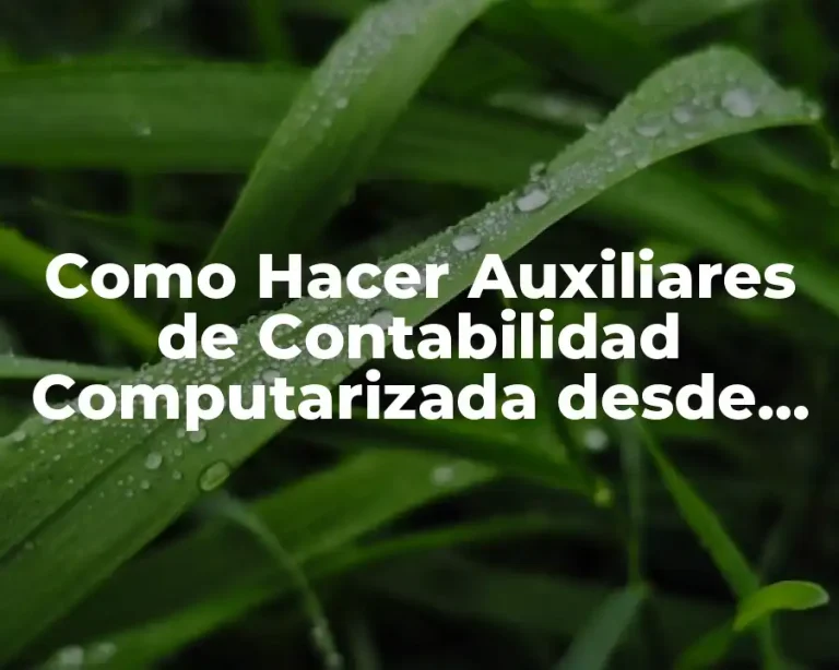 Como Hacer Auxiliares de Contabilidad Computarizada desde Mi Casa