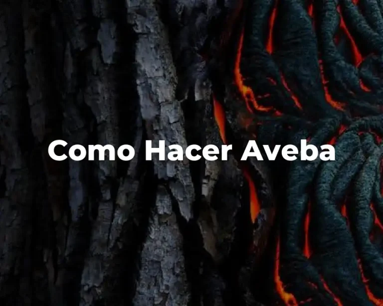 Como Hacer Aveba