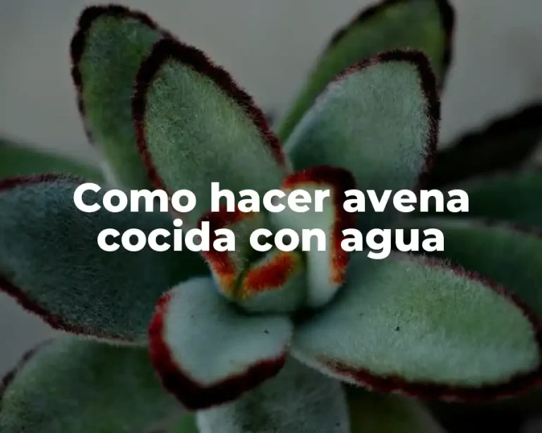 Como hacer avena cocida con agua