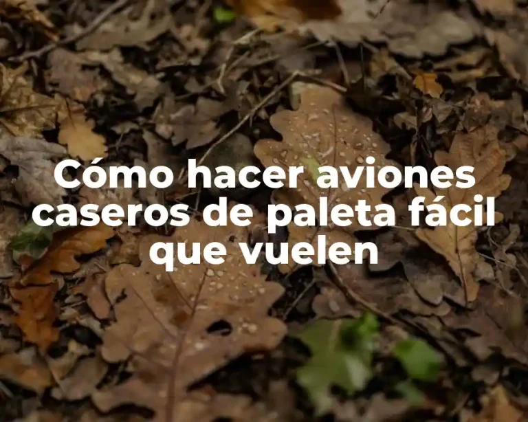 Cómo hacer aviones caseros de paleta fácil que vuelen