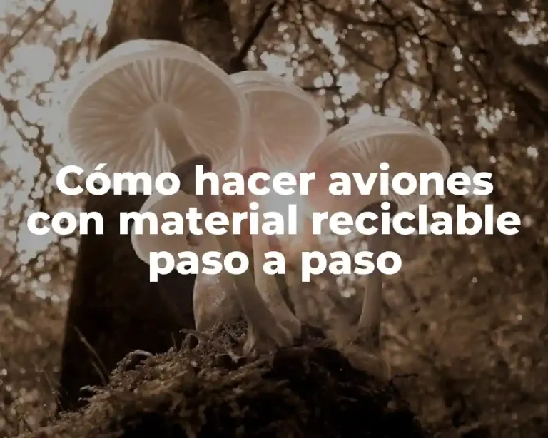 Cómo hacer aviones con material reciclable paso a paso