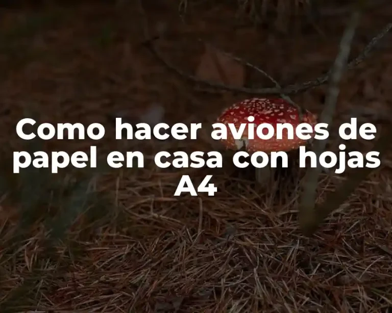 Como hacer aviones de papel en casa con hojas A4